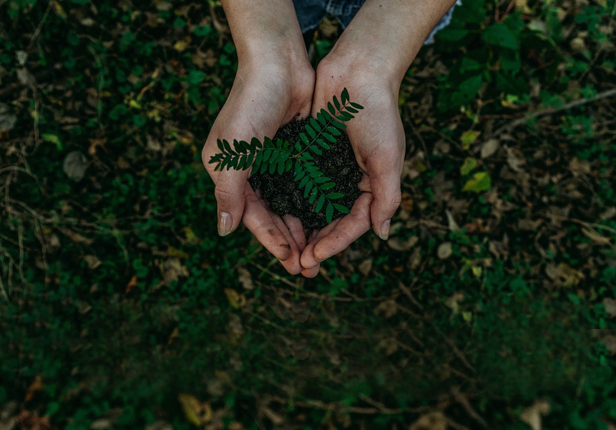 绿色智选 低碳先行