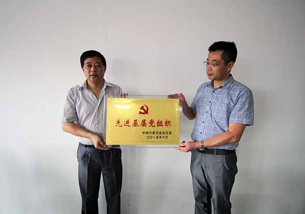 酷豆丁党支部获金安区“先进基层党组织”称号