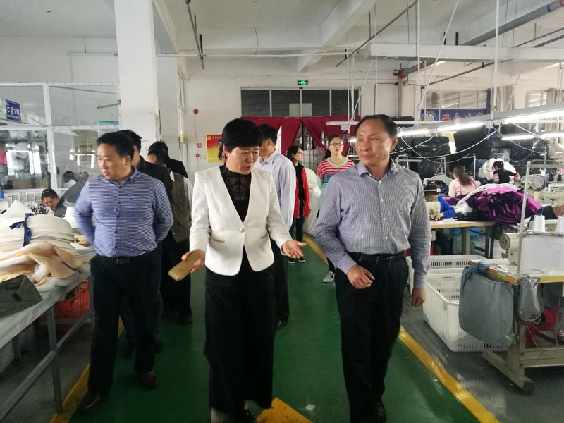 市人大常委会副主任李建民视察酷豆丁