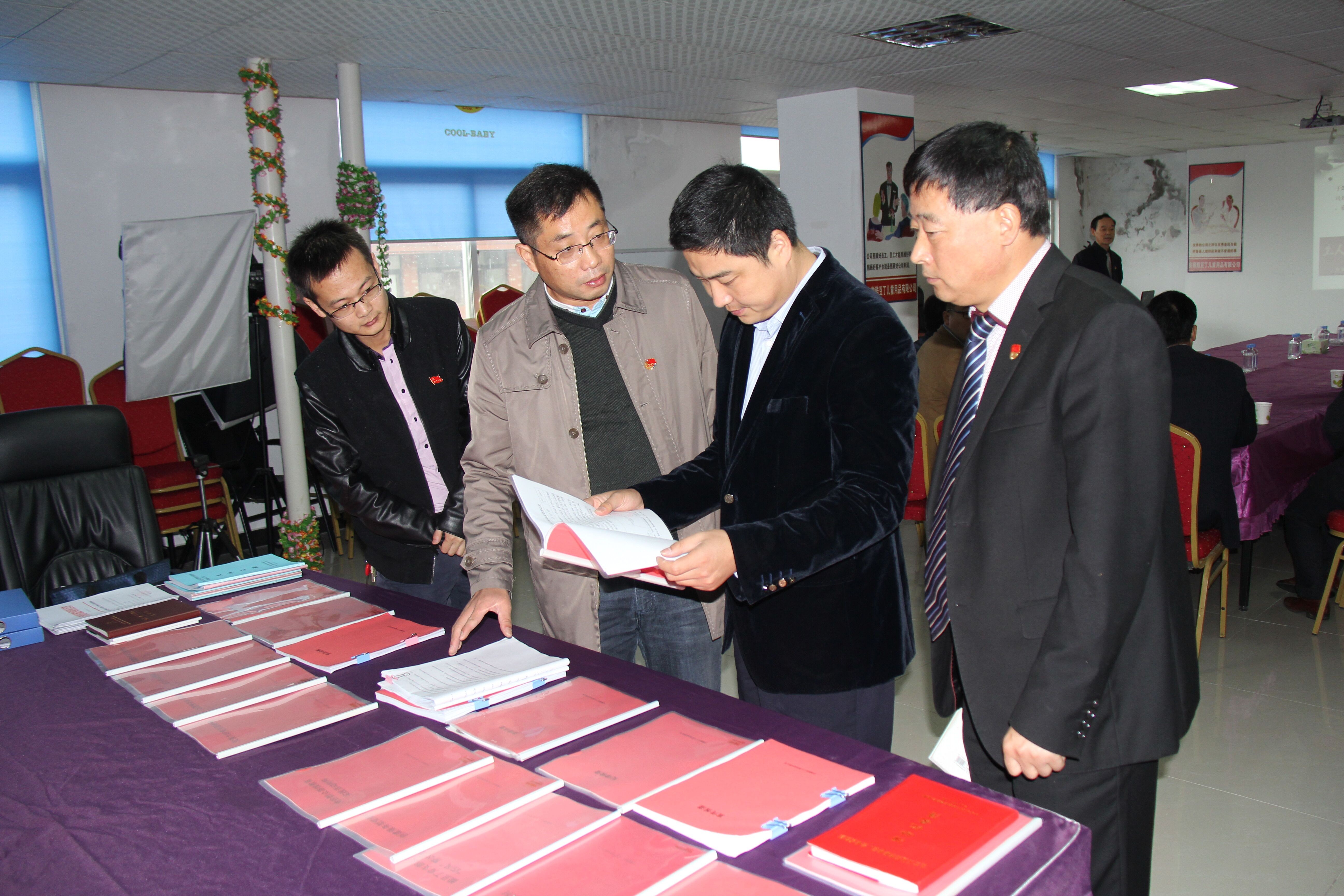 市委组织部派检查组来酷豆丁检查2016年非公党建工作