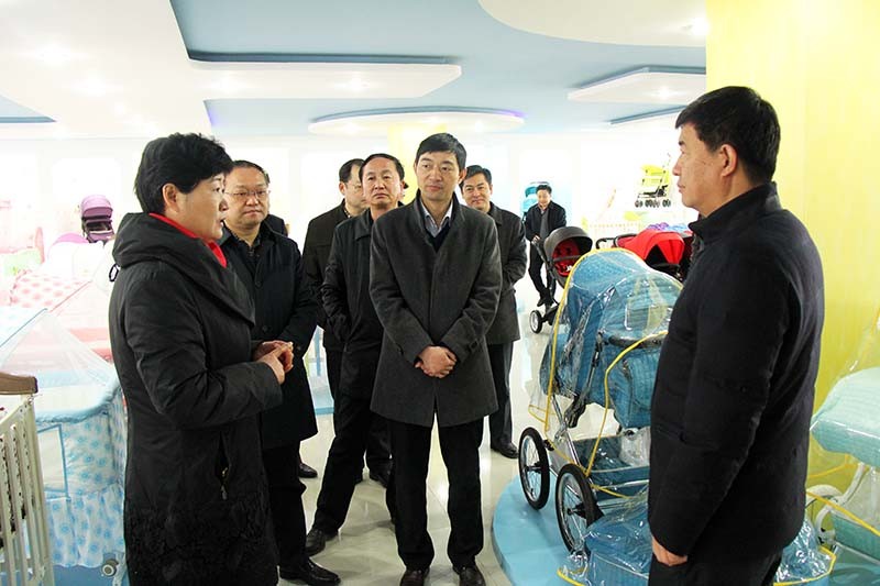 市委书记、市人大常委会主任孙云飞到酷豆丁公司视察