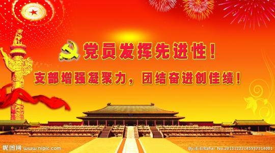 酷豆丁党支部：组织委员主要职责