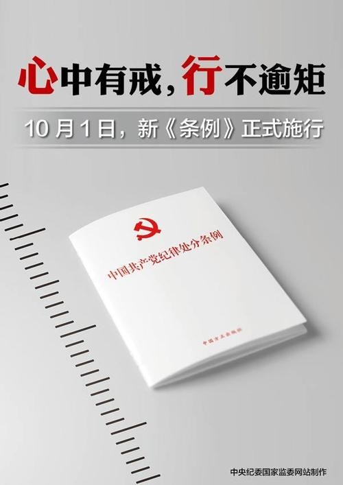 安徽酷豆丁儿童用品有限公司党支部2013年度服务计划书