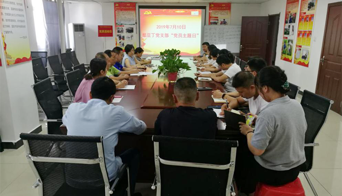 酷豆丁党支部开展“党员主题日”活动