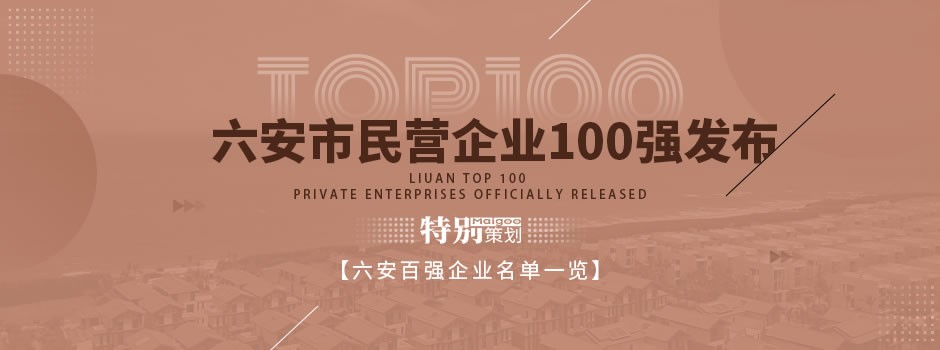 酷豆丁荣获2020年六安市民营企业百强称号