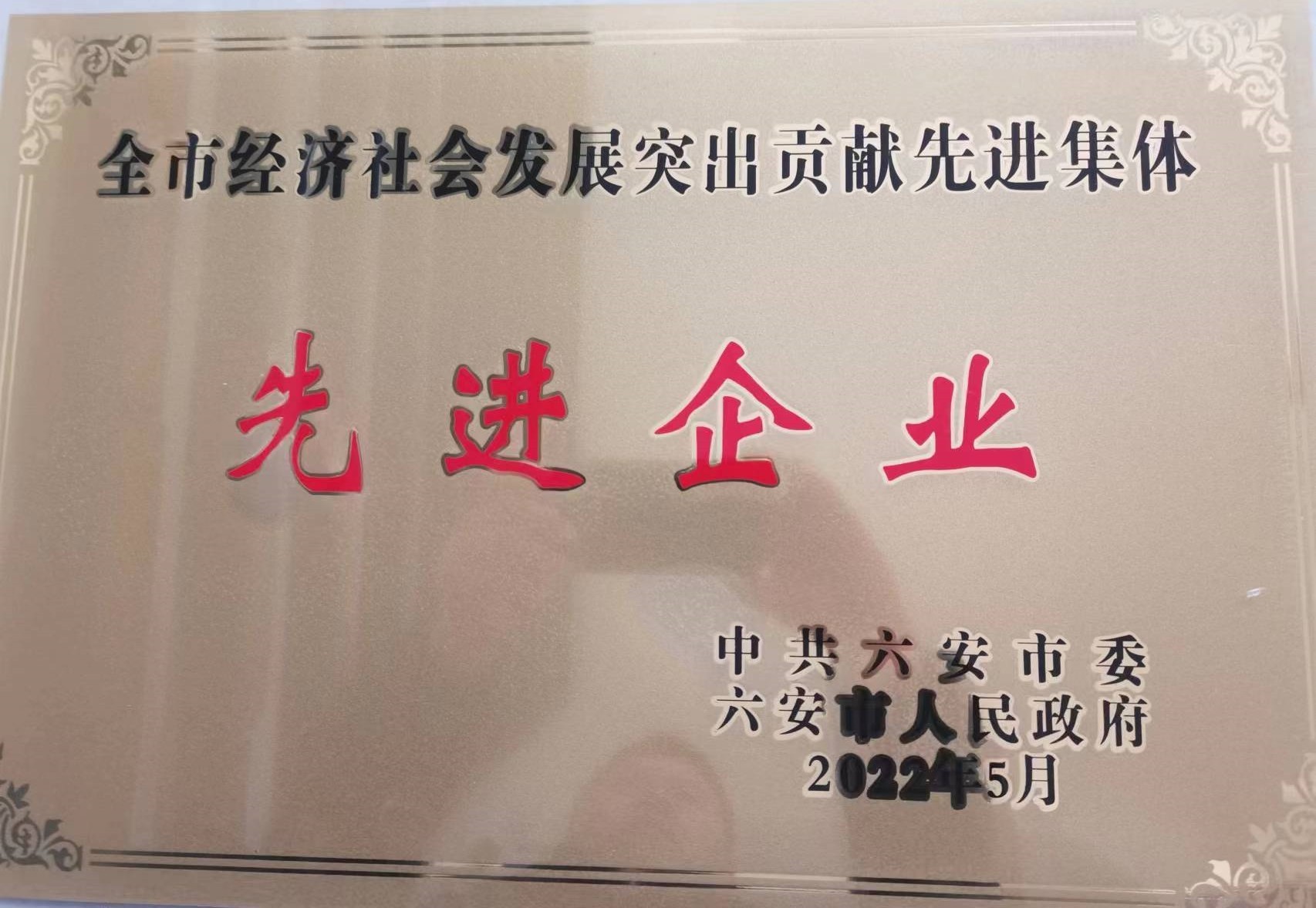 六安市经济社会发展突出贡献先进集体先进企业