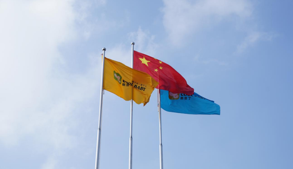 安徽酷豆丁盛大举行庆祝中华人民共和国成立75周年升旗仪式