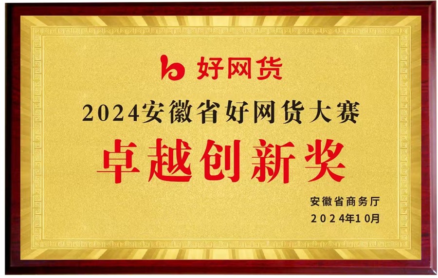 2024安徽好网货大赛卓越创新奖