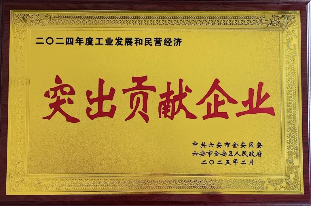 2024年六安市突出贡献企业