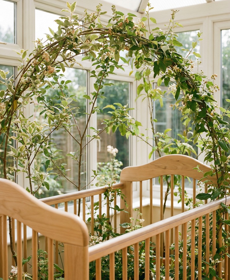 1769047743376499.jpg Image-1769046746147.jpg